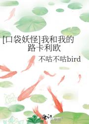 ［口袋妖怪］我和我的路卡利欧