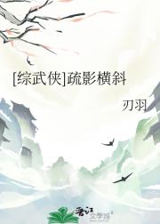 [综武侠]疏影横斜