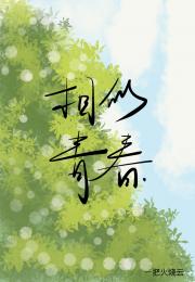 相似青春