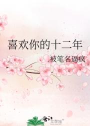喜欢你的十二年