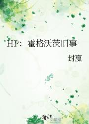 HP：霍格沃茨旧事