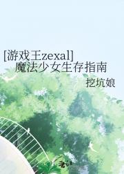 [游戏王zexal]魔法少女生存指南