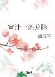 审计一条龙脉