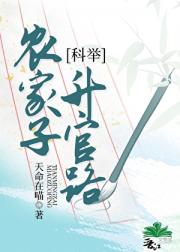 农家子科举升官路