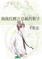 商战红颜之总裁的影子情人
