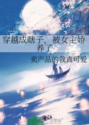 穿越成瞎子，被女主娇养了