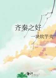 齐秦之好