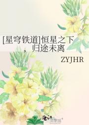 星穹铁道：恒星之下，归途未离