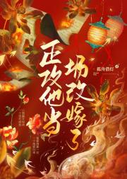 正攻他当场改嫁了