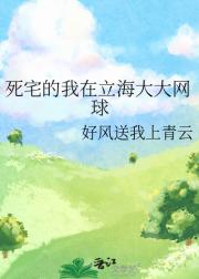 死宅的我在立海大大网球