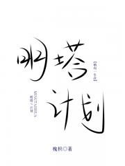 明塔计划［哨向］