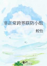 非正常跨界联防小组