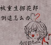 被重生探花郎倒追怎么办？