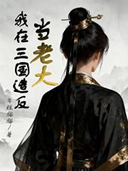 我在三国造反当老大