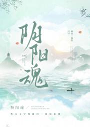阴阳魂