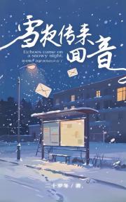 雪夜传来回音
