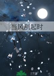 当风刮起时
