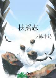 扶摇志
