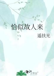 恰似故人来