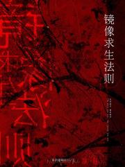 镜****则
