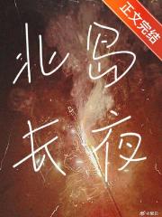 北岛长夜