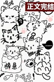 我能看到猫猫狗狗发的朋友圈