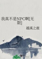 我真不是NPC啊[无限]