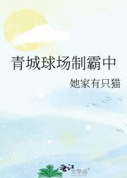 青城球场制霸中