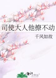 司使大人他撩不动