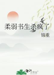 柔弱书生杀疯了