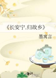 长安宁.归故乡