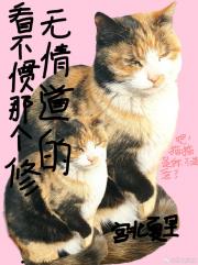 看不惯那个修无情道的