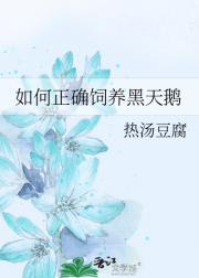 如何正确饲养黑天鹅