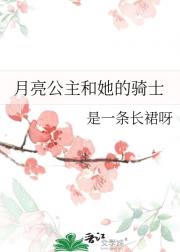 月亮公主和她的骑士