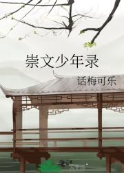 崇文少年录