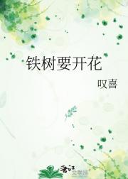 铁树要开花