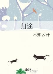 归途