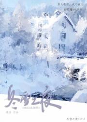 冬雪月夜
