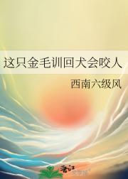 这只金毛训回犬会咬人