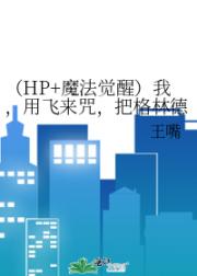 （HP+魔法觉醒）我，用飞来咒，把格林德