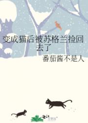 变成猫后被苏格兰捡回去了