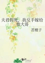 夫君假死后，我嫁给他大哥