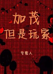 加茂，但是玩家