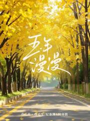 五年漫漫