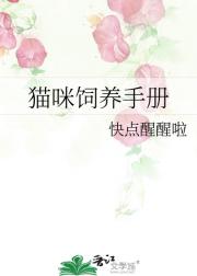 猫咪饲养手册