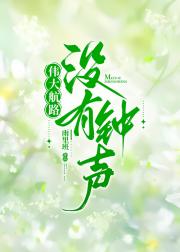 伟大航路没有钟声