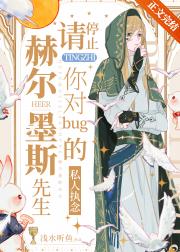 赫尔墨斯先生，请停止你对bug的私人执念