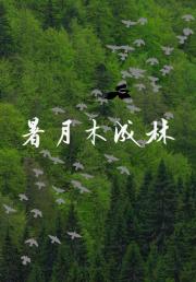 暑月木成林