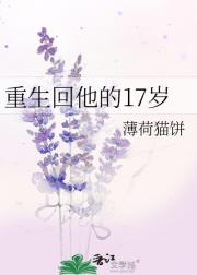 重生回他的17岁
