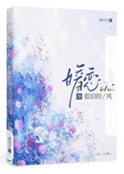暗恋像很旧的风